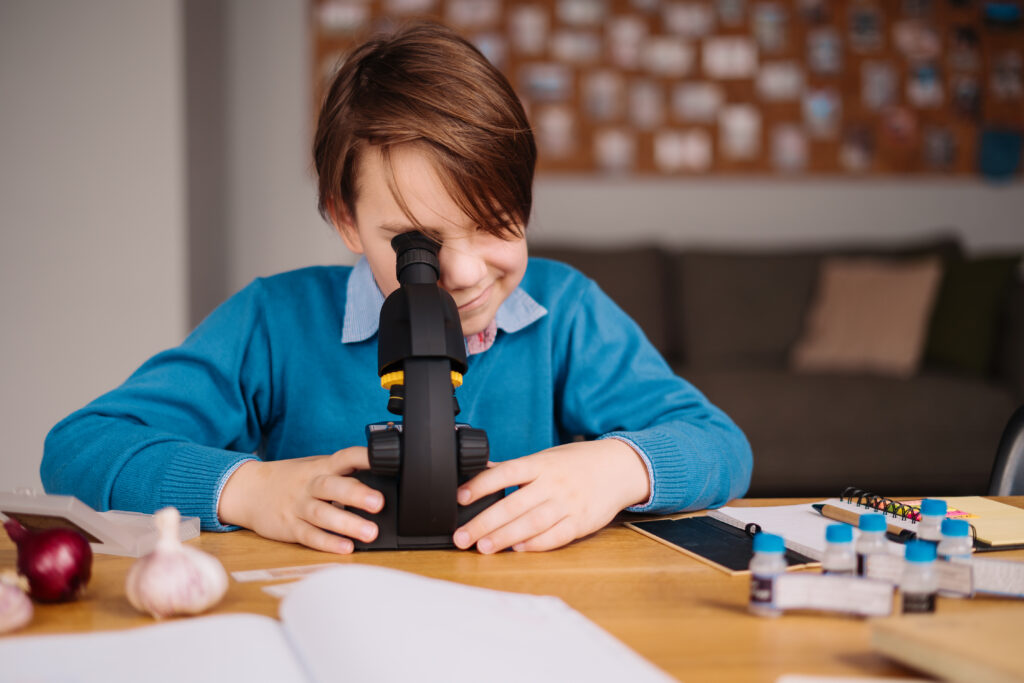 What Your Child Will Learn in Our Preschool Program